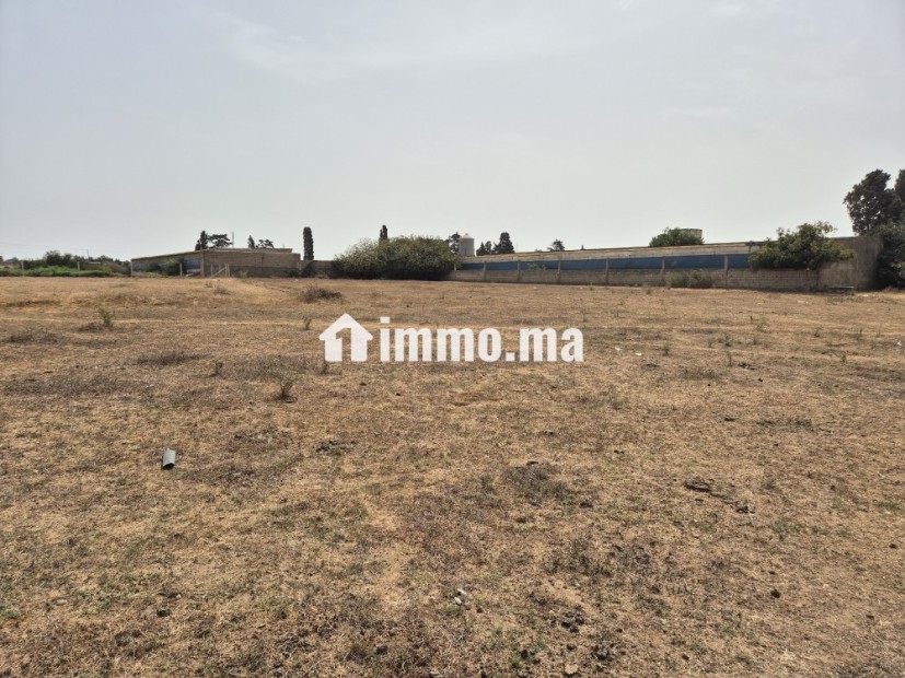 Terrain à vendre a Hussain sala eljadida - Vente Immobilier - Sale - photo 3