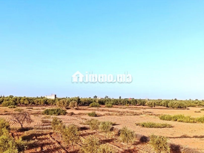 Ferme Titrée À Vendre à 28km de Marrakech - Vente Immobilier - Marrakech - photo 6
