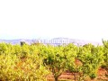 ferme-titree-a-vendre-a-28km-de-marrakech-small-1