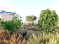 ferme-titree-a-vendre-a-28km-de-marrakech-small-2