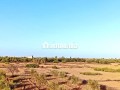 ferme-titree-a-vendre-a-28km-de-marrakech-small-5