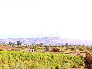 ferme-titree-a-vendre-a-28km-de-marrakech