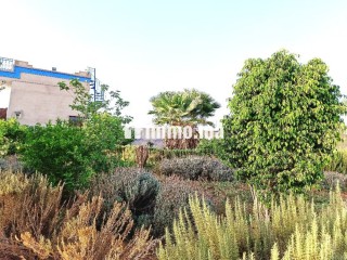 Ferme Titrée À Vendre à 28km de Marrakech - Terrain à vendre - Marrakech