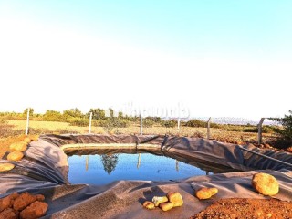 Ferme Titrée À Vendre à 28km de Marrakech - Terrain à vendre - Marrakech
