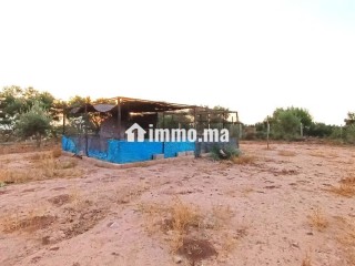 Ferme Titrée À Vendre à 28km de Marrakech - Terrain à vendre - Marrakech