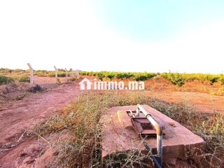 Ferme Titrée À Vendre à 28km de Marrakech - Terrain à vendre - Marrakech