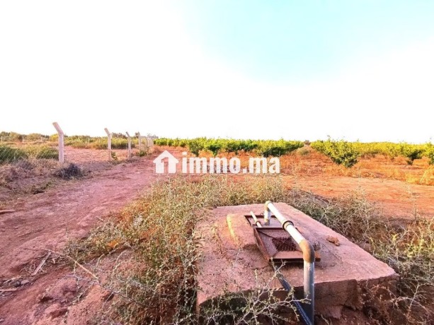 ferme-titree-a-vendre-a-28km-de-marrakech-big-8