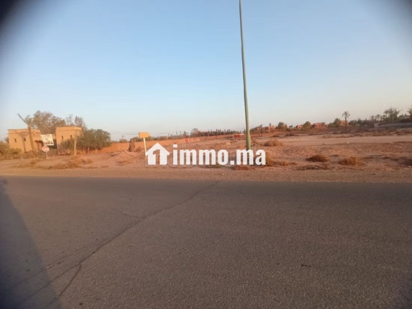 Terrain Titré Constructible À Vendre sur rte Bab Atlas - Vente Immobilier - Marrakech - photo 4