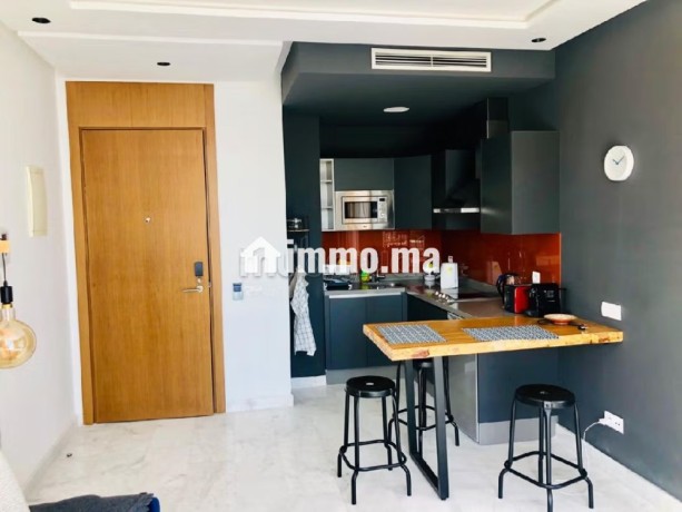 studio-meuble-a-la-location-a-la-ferme-bretonne-terrasse-big-6