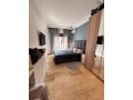 appartement-meuble-a-la-location-a-bourgogne-small-16