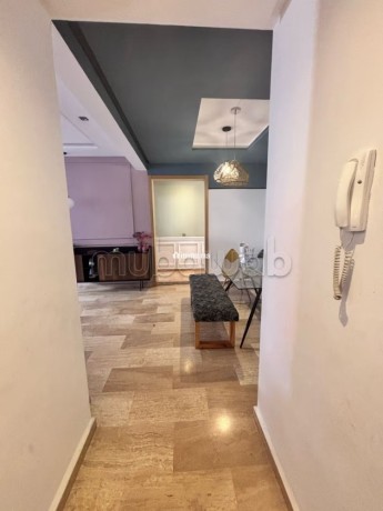 appartement-meuble-a-la-location-a-bourgogne-big-11