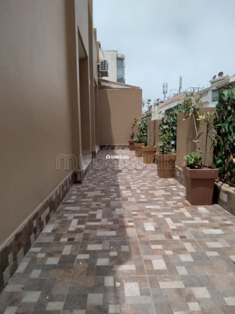 Vente studio avec belle terasse clinique badr - Vente Immobilier - Casablanca - photo 3