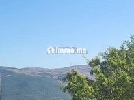 TERRAIN A BENKARICH 400M VIABILISE AVEC FONDATION - Terrain à vendre - Tetouan