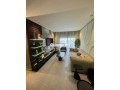 des-luxes-studio-meuble-haut-standing-location-small-4