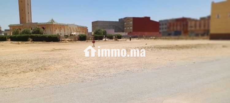 ارض محفظة بسبت جزولة باقرب من جماعة سبت جزولة - Vente Immobilier - Safi - photo 3