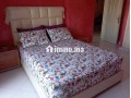 appartement-a-louer-saisonniere-small-7