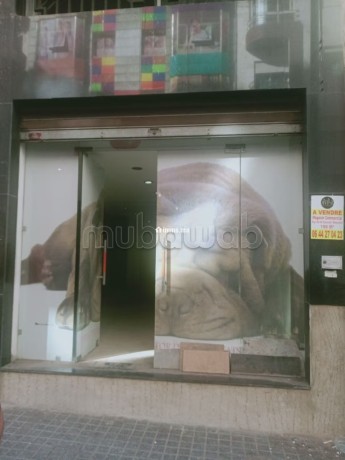 a-vendre-un-magasin-commercial-avec-mezzanine-big-12