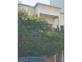 a-vendre-un-terrain-r-5-au-quartier-des-hopitaux-small-6