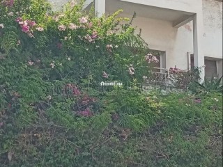 A vendre un terrain R 5 au quartier des hôpitaux - Terrain à vendre - Casablanca