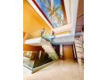 a-vendre-magnifique-villa-de-prestige-a-souissi-rabat-small-3
