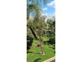 bel-appartement-a-louer-ain-diab-small-0