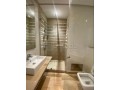 magnifique-appertement-3-chambres-sans-vis-a-vis-avec-terrasse-meuble-ou-vide-small-8