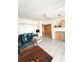 gauthier-meuble-avec-terrasse-et-balcon-small-3