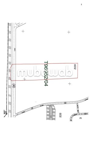 terrain-1169-ha-zone-noria-big-2
