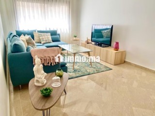 bel-appartement-1-chambre-meuble-en-location-a-racine-climatisation