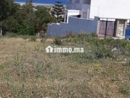 Terrain de 980m2 a vendre alhajrien madina Jadida - Terrain à vendre - Tanger