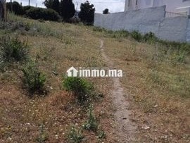 Terrain de 980m2 a vendre alhajrien madina Jadida - Terrain à vendre - Tanger