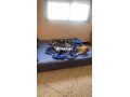 rhina-aprt-de-75m2-a-belvedere-small-4