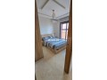 appartement-ensoleille-au-centre-ville-small-6
