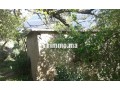 ferme-a-louer-a-lalla-takarkoust-superficie-5500-m2-garage-small-2