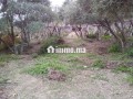 ferme-a-louer-a-lalla-takarkoust-superficie-5500-m2-garage-small-4