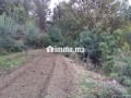 ferme-a-louer-a-lalla-takarkoust-superficie-5500-m2-garage-small-6