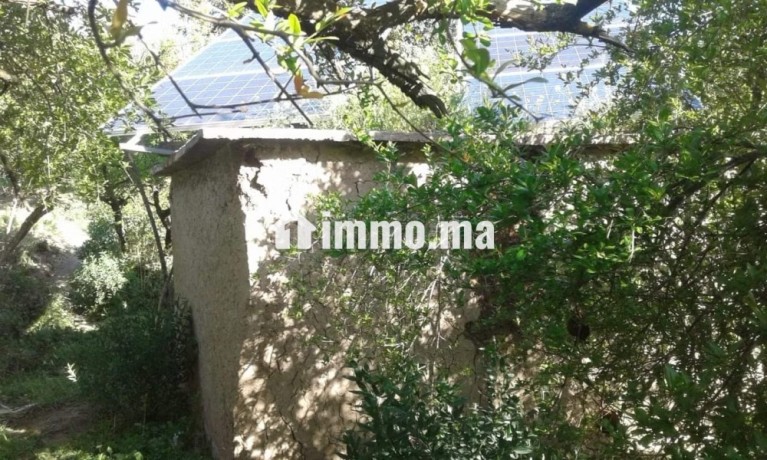 ferme-a-louer-a-lalla-takarkoust-superficie-5500-m2-garage-big-2