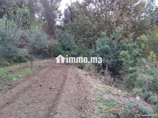 ferme-a-louer-a-lalla-takarkoust-superficie-5500-m2-garage-big-6