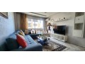 appartement-propre-plein-racine-avec-terrasse-small-1