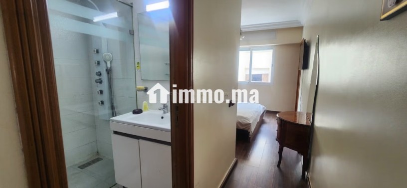 appartement-propre-plein-racine-avec-terrasse-big-9