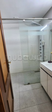 appartement-propre-plein-racine-avec-terrasse-big-8