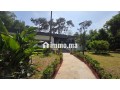 villa-a-louer-a-souissi-la-pinede-small-3