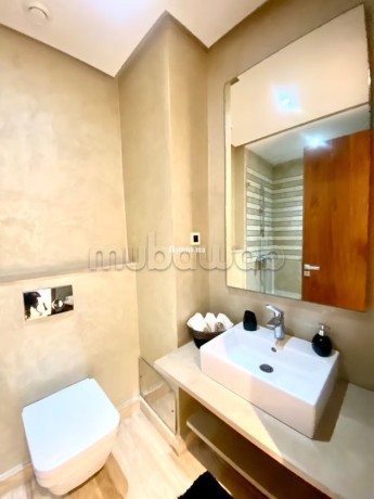 magnifique-appartement-3-ch-avec-terrasse-en-location-vide-au-meuble-a-ghautier-big-9