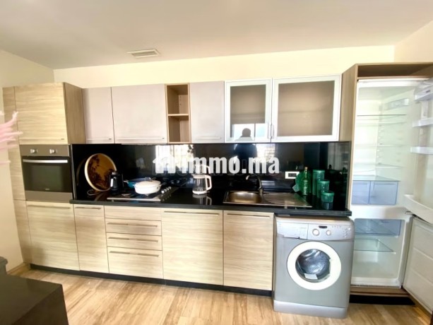 magnifique-appartement-3-ch-avec-terrasse-en-location-vide-au-meuble-a-ghautier-big-3