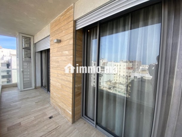 magnifique-appartement-3-ch-avec-terrasse-en-location-vide-au-meuble-a-ghautier-big-4
