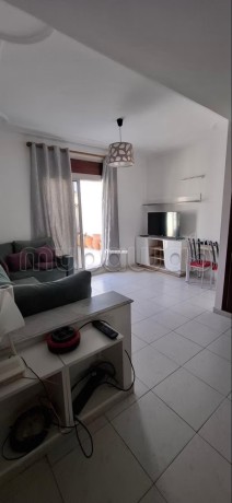 appartement-meuble-avec-terrasse-a-louer-big-2