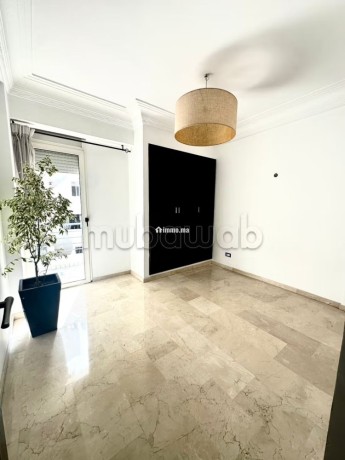 appartement-entierement-renove-a-racine-big-10