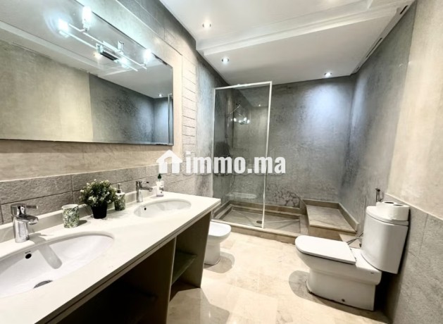 appartement-entierement-renove-a-racine-big-12
