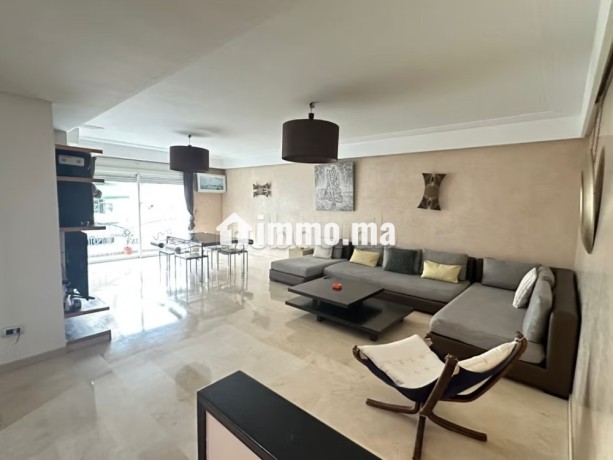 appartement-entierement-renove-a-racine-big-1