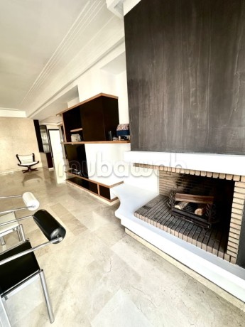 appartement-entierement-renove-a-racine-big-8
